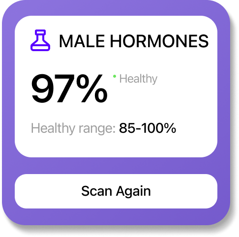 Male Hormones