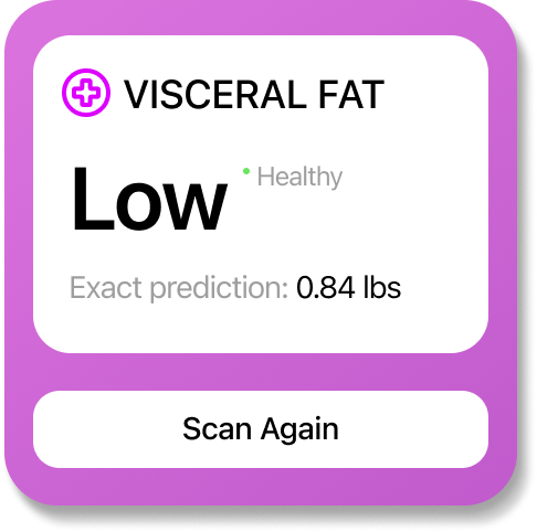 Visceral Fat